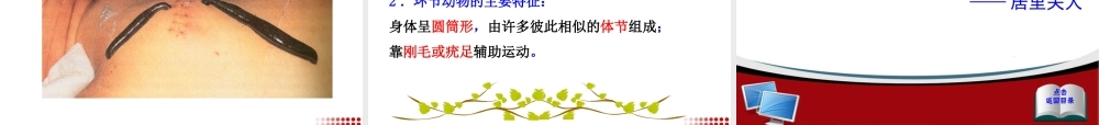 第二节线形动物和环节动物