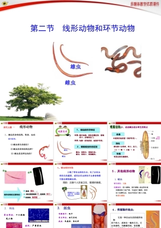 第二节线形动物和环节动物
