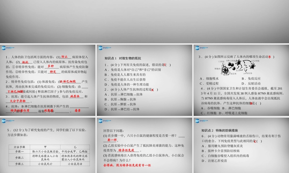 九年级科学下册 331 对微生物的抵抗习题课件 浙教版 课件