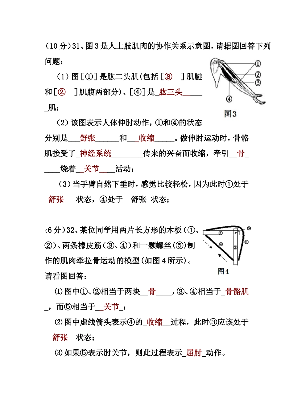 2015月考试卷答案_第2页