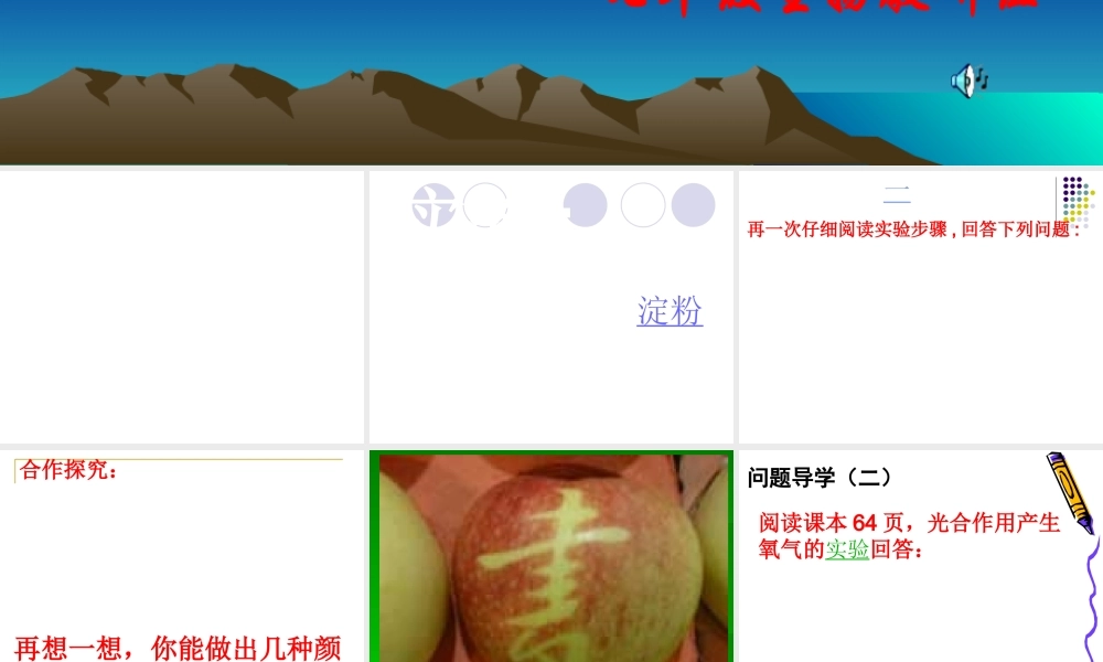 光合作用1 七年级生物上册绿色植物的光合作用课件济南版