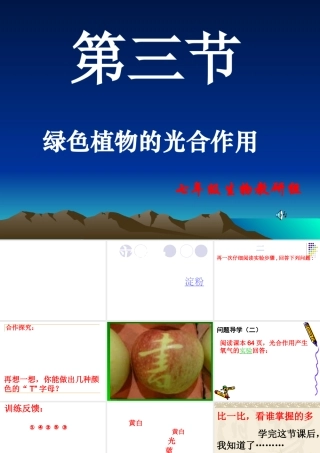 光合作用1 七年级生物上册绿色植物的光合作用课件济南版