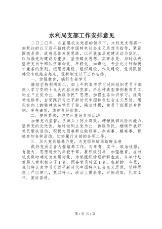 水利局支部工作安排意见