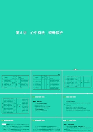 中考政治 第一编 基础篇 第一部分 成长中的我 第5讲 心中有法 特殊保护课件