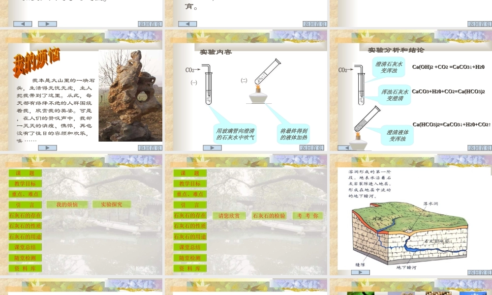 初三化学复习课件石灰石 课件