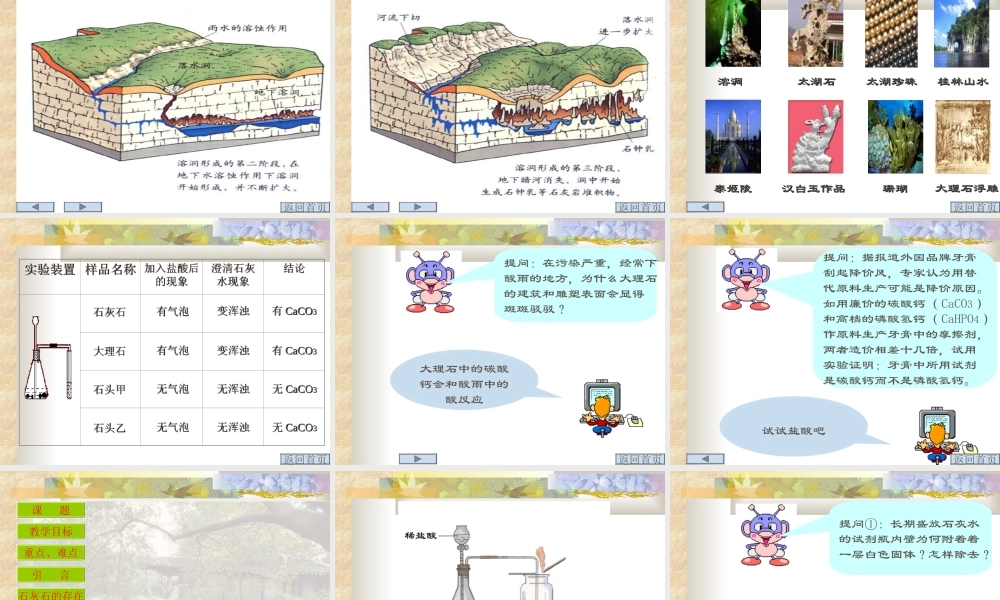 初三化学复习课件石灰石 课件