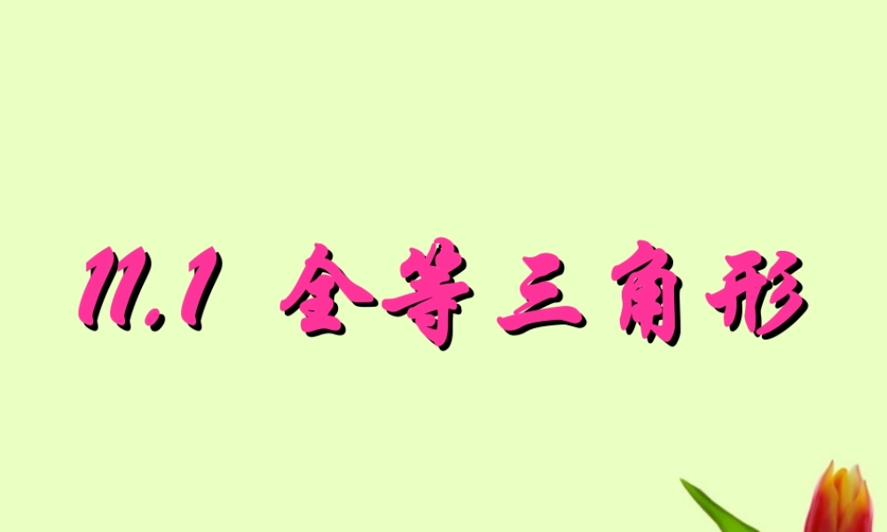 八年级数学上册 11.1全等三角形课件 人教新课标版 课件