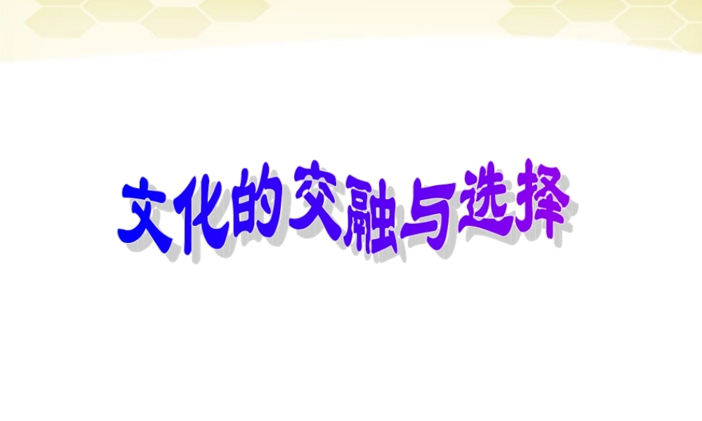 九年级历史与社会 53(多元文化的交融)课件 人教新课标版 课件