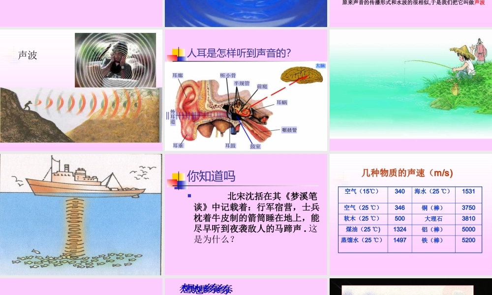 声音的产生与传播 (3)