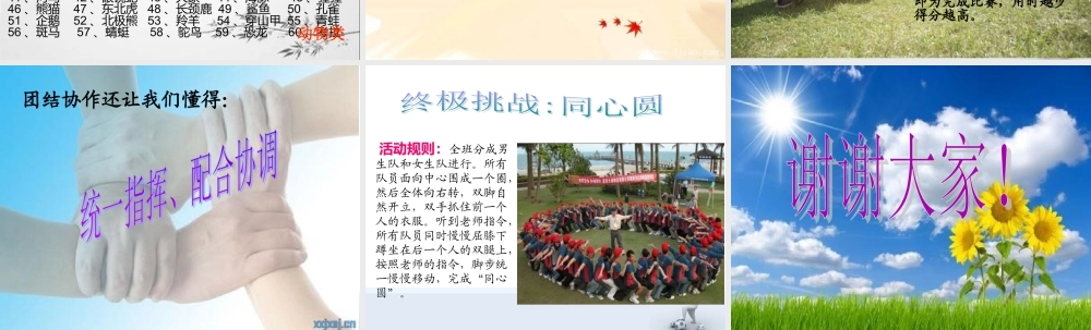 团结协作赢的力量主题班会