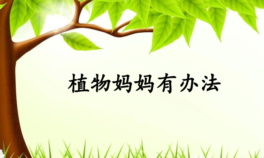 植物妈妈有办法 (5)
