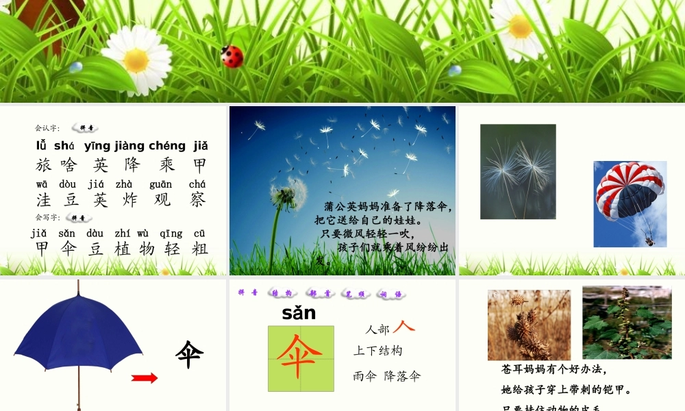 植物妈妈有办法 (5)