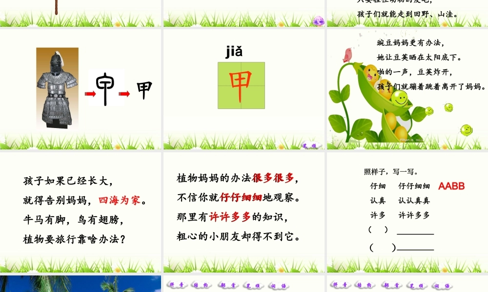 植物妈妈有办法 (5)