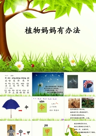 植物妈妈有办法 (5)