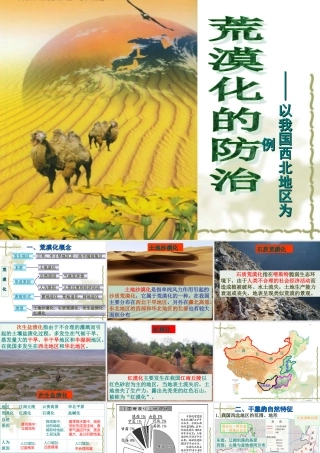 荒漠化的防治