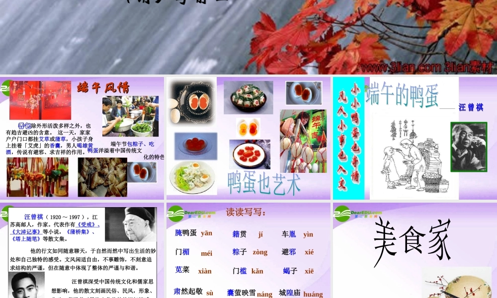 八年级语文 端午的鸭蛋课件 人教新课标版 课件