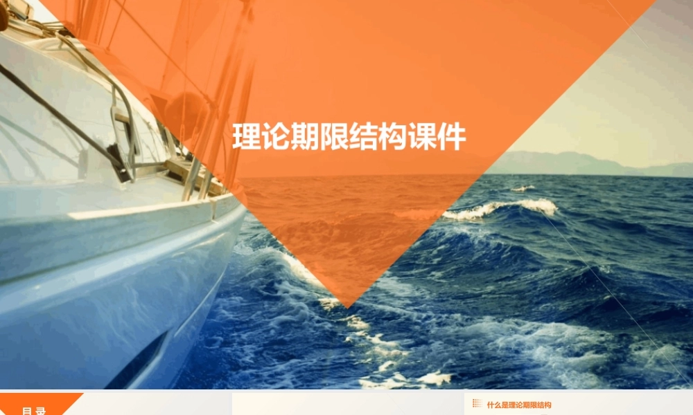 理论期限结构课件