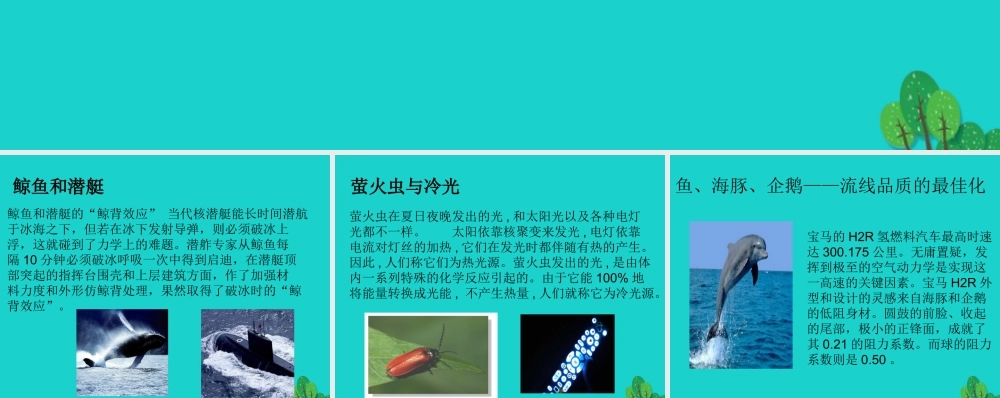 八年级生物上册 第七单元 第三章 第二节 动物与人类生活的关系 仿生课件 鲁科版五四制 课件