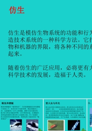 八年级生物上册 第七单元 第三章 第二节 动物与人类生活的关系 仿生课件 鲁科版五四制 课件