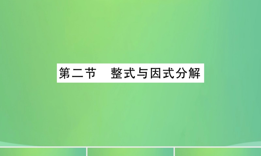 中考数学复习 第一轮 考点系统复习 第一章 数与式 第二节 整式与因式分解(精讲)课件
