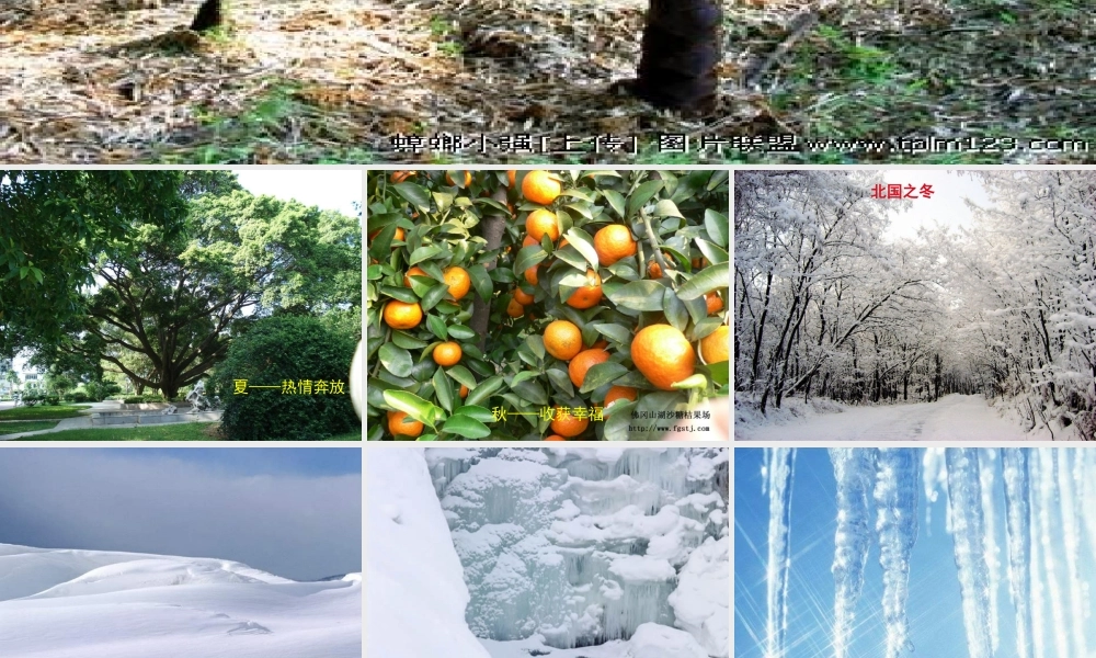 七年级语文上册(济南的冬天)课件 语文版 课件