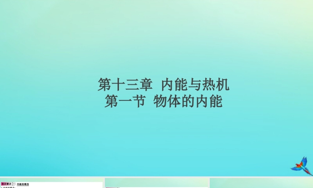 九年级物理全册 第十三章 内能与热机 第一节 物体的内能(小册子)习题讲评课件 (新版)沪科版 课件