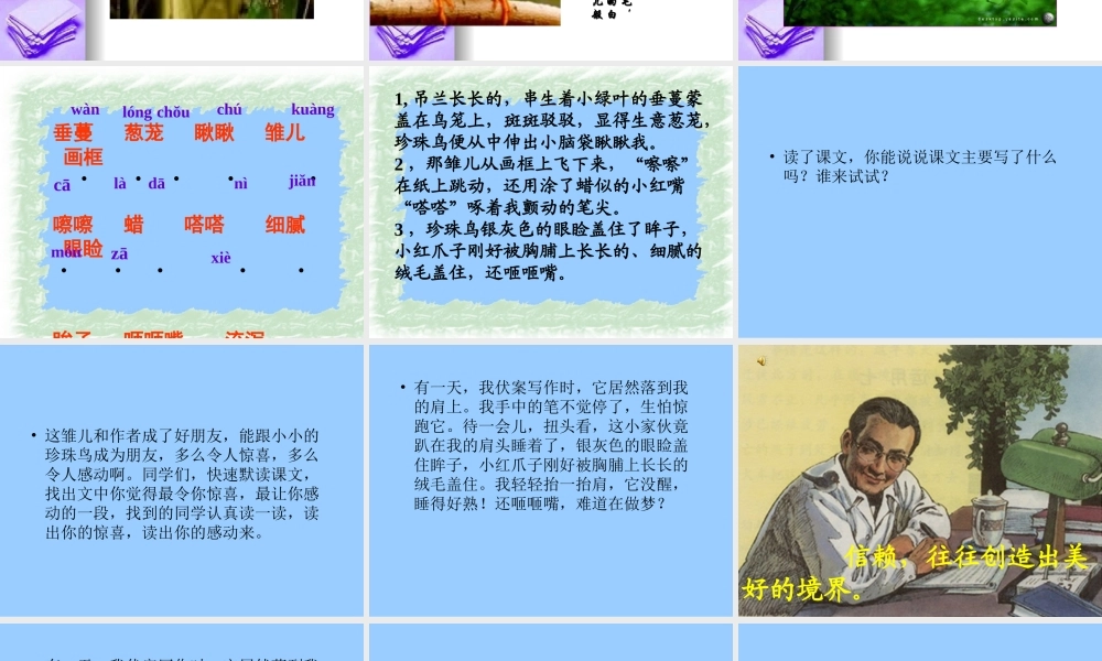 人教版五年级语文上册《珍珠鸟》PPT课件