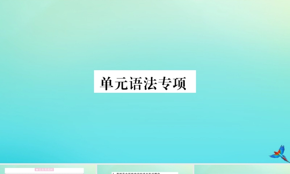 九年级英语全册 Unit 12 Life is full of the unexpected单元语法专项习题课件 (新版)人教新目标版 课件