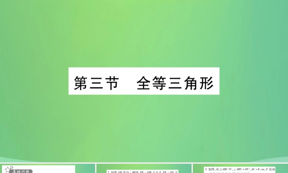 中考数学复习 第一轮 考点系统复习 第四章 三角形 第三节 全等三角形(精练)课件