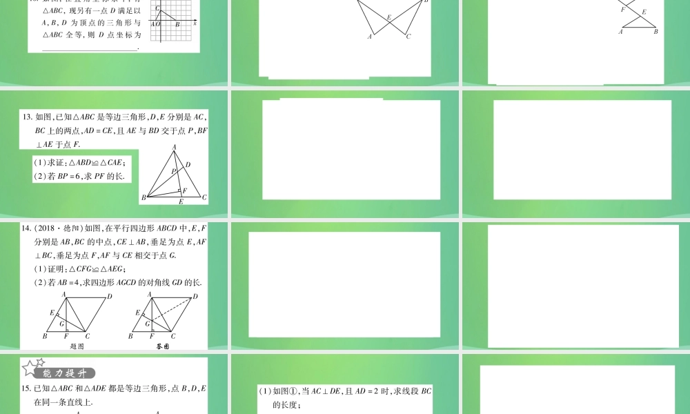 中考数学复习 第一轮 考点系统复习 第四章 三角形 第三节 全等三角形(精练)课件