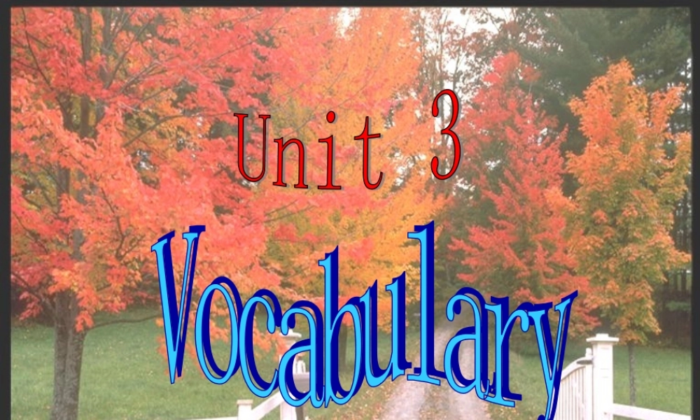 九年级英语上册(Unit 3 Teenage problems VOCABULARY)课件 (新版)牛津版 课件