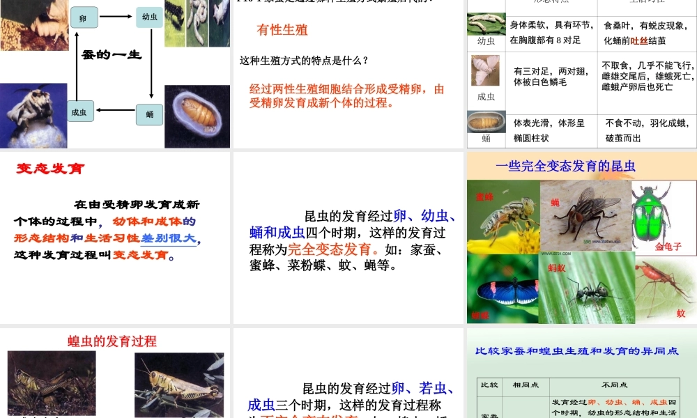 第二节《昆虫的生殖和发育》