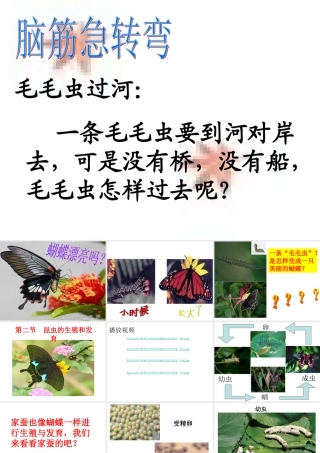 第二节《昆虫的生殖和发育》
