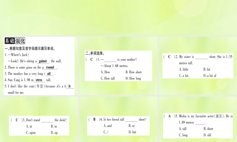 七年级英语上册 Unit 3 Body Parts and Feelings Lesson 15 Tall or Short课件 (新版)冀教版 课件