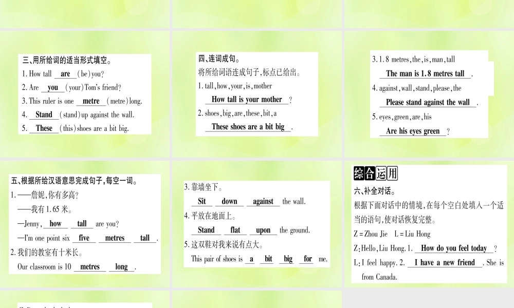 七年级英语上册 Unit 3 Body Parts and Feelings Lesson 15 Tall or Short课件 (新版)冀教版 课件