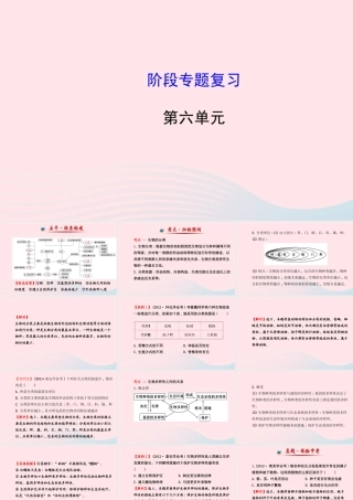 八年级生物上册 阶段专题复习 第六单元 生物的多样性及其保护课件 (新版)新人教版 课件