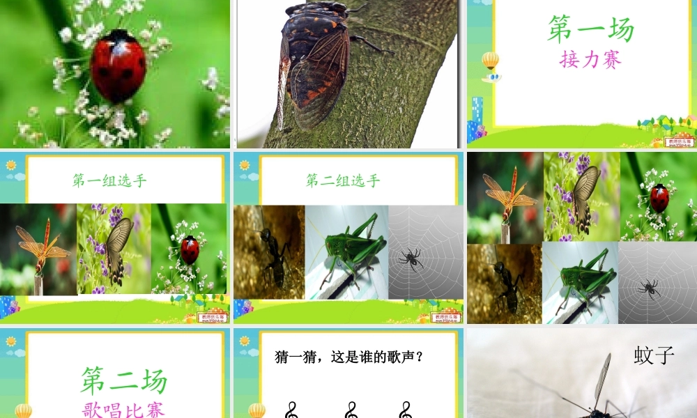 夏天的小虫(2)
