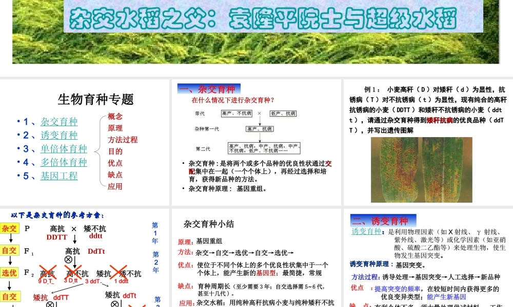 育种专题复习