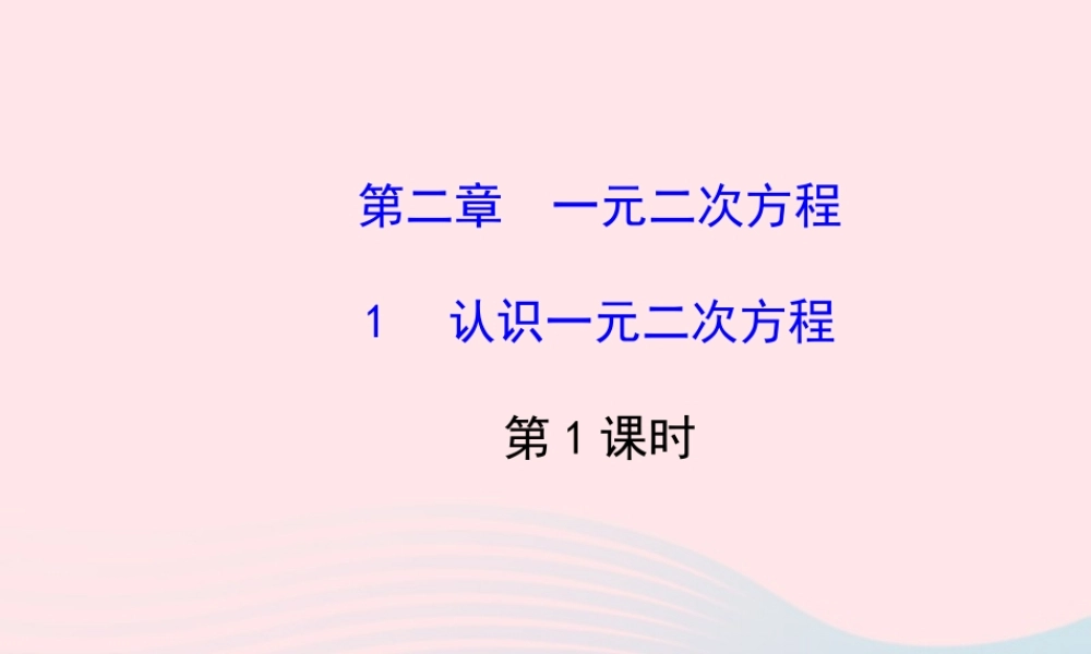 九年级数学上册 第二章 一元二次方程 1认识一元二次方程(第1课时)习题课件 (新版)北师大版 课件
