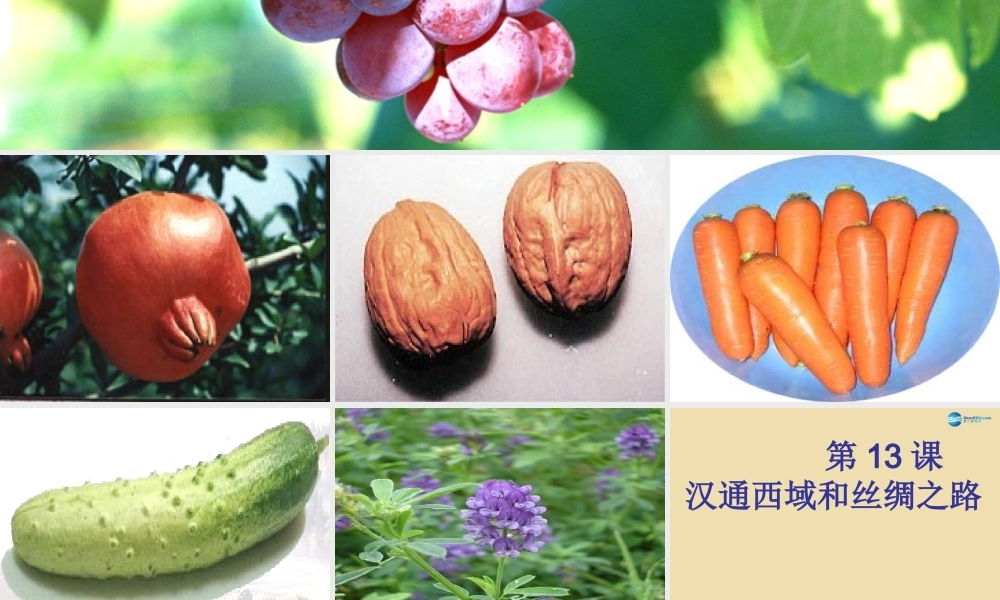 中考历史(汉通西域和丝绸之路)复习课件1 课件