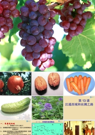 中考历史(汉通西域和丝绸之路)复习课件1 课件