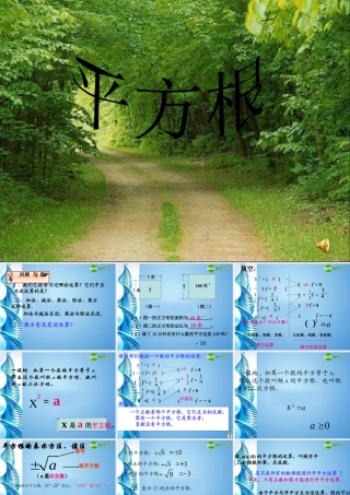 八年级数学上册 17.1(平方根)课件 冀教版 课件