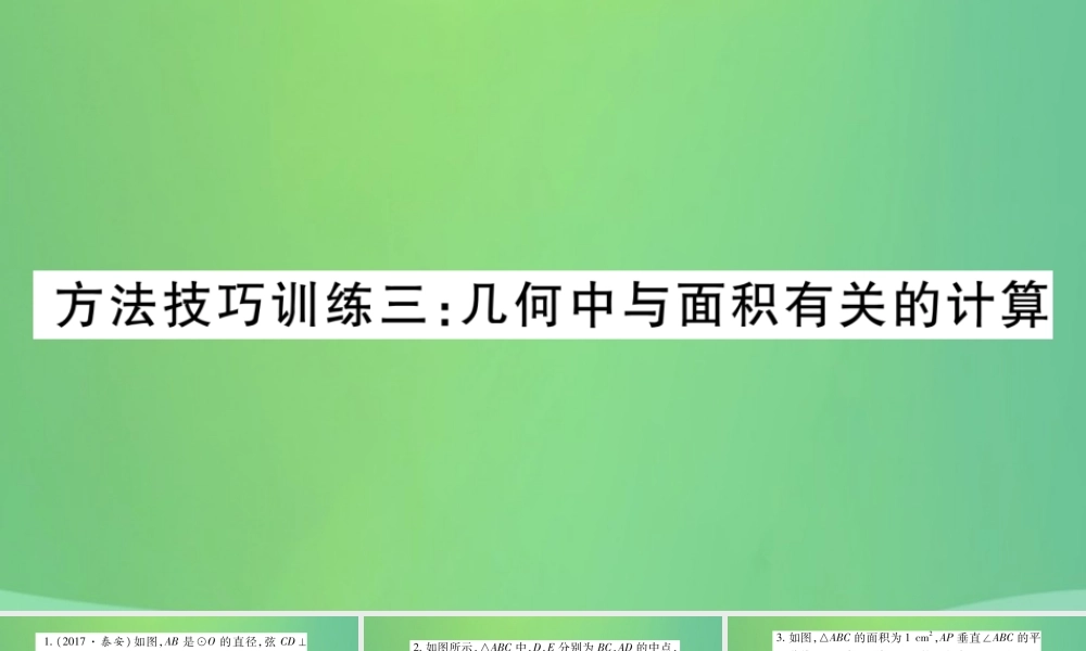 中考数学复习 第一轮 考点系统复习 第六章 圆 方法技巧训练三 几何中与面积有关的计算(精练)课件