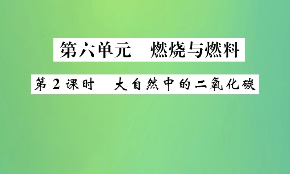 中考化学总复习 教材考点梳理 第六单元 燃烧与燃料 第2课时 大自然中的二氧化碳课件 鲁教版 课件