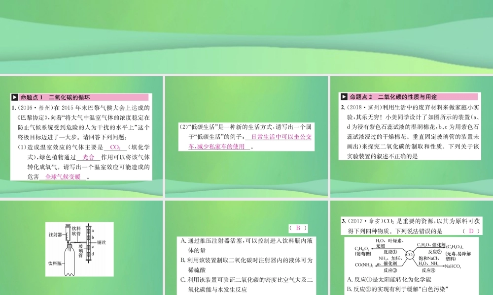 中考化学总复习 教材考点梳理 第六单元 燃烧与燃料 第2课时 大自然中的二氧化碳课件 鲁教版 课件