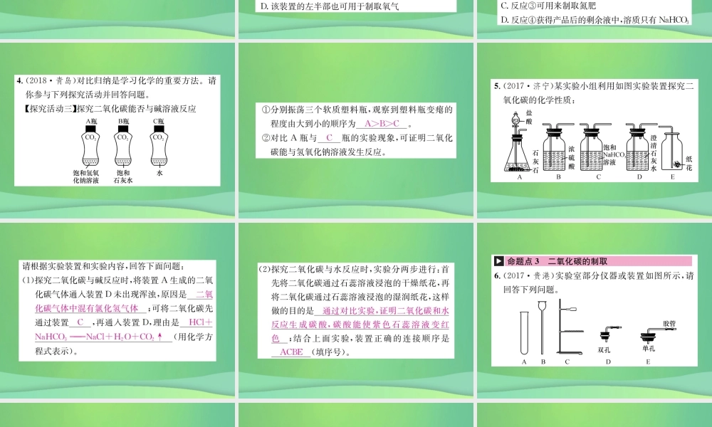 中考化学总复习 教材考点梳理 第六单元 燃烧与燃料 第2课时 大自然中的二氧化碳课件 鲁教版 课件