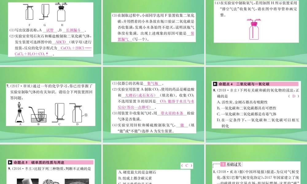 中考化学总复习 教材考点梳理 第六单元 燃烧与燃料 第2课时 大自然中的二氧化碳课件 鲁教版 课件