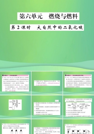 中考化学总复习 教材考点梳理 第六单元 燃烧与燃料 第2课时 大自然中的二氧化碳课件 鲁教版 课件