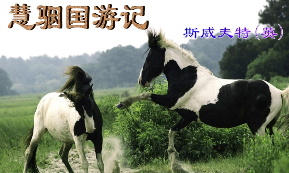 九年级语文上册 (慧骃国游记)教学课件 冀教版 课件