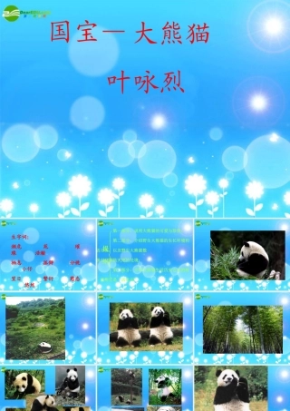 七年级语文下册(国宝—大熊猫)课件 苏教版 课件